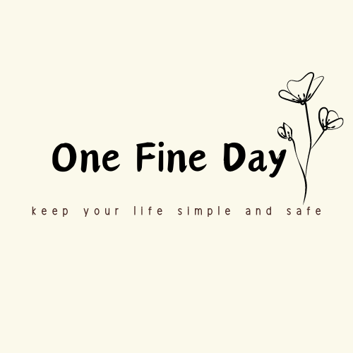 One Fine Day in Life